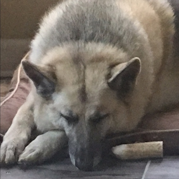 Meet your Posher - Picture 15 of 15